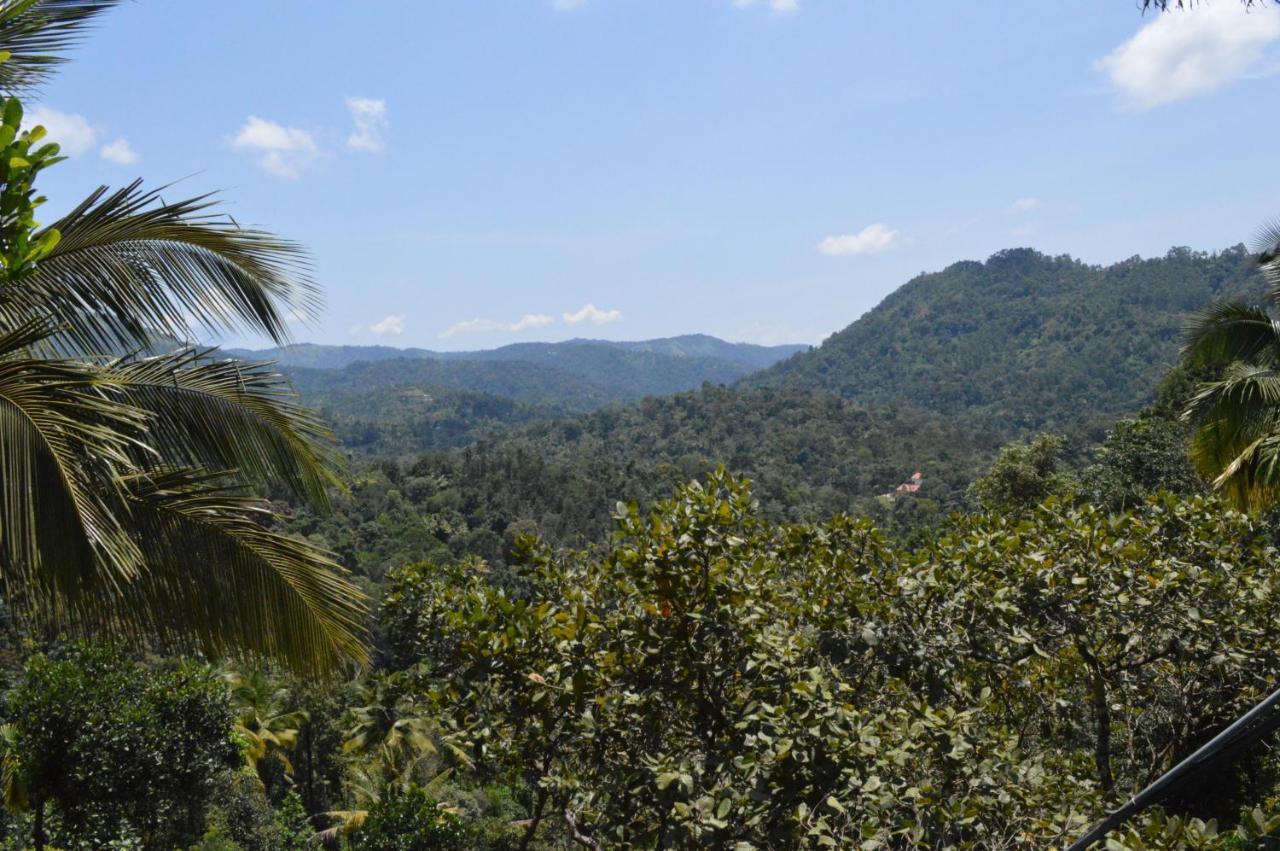 The Shade Apartment Munnar Ngoại thất bức ảnh